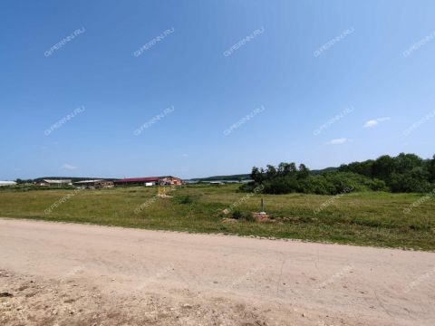 derevnya-inyutino-bogorodskiy-municipalnyy-okrug фото