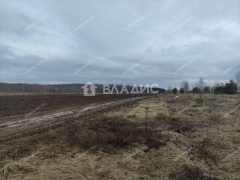 selo-aleshkovo-bogorodskiy-municipalnyy-okrug фото