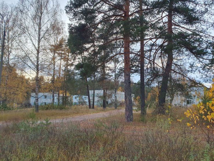 Фото: Ксения Ражева