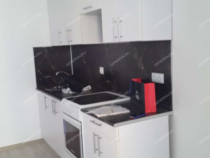 однокомнатная квартира на Русской улице улице дом 18 деревня Анкудиновка