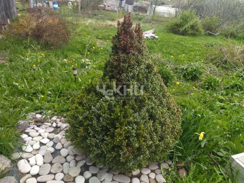 дом на Октябрьской улице село Владимирское