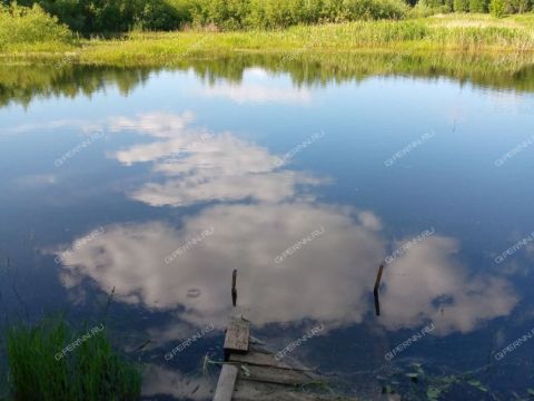 1-komnatnaya-derevnya-berezovka-bogorodskiy-municipalnyy-okrug фото