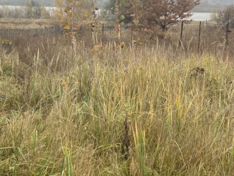 dom-rabochiy-poselok-blizhne-pesochnoe-gorodskoy-okrug-vyksa фото