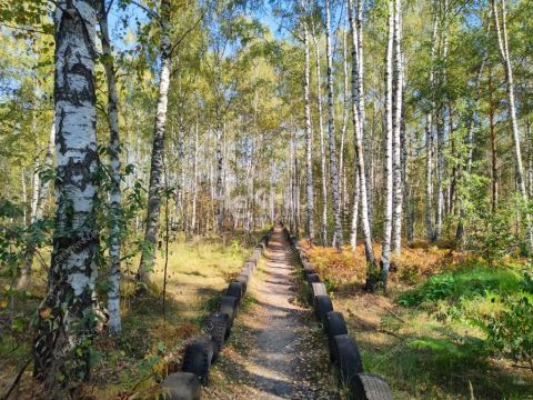 dacha-gorod-balahna-balahninskiy-municipalnyy-okrug фото