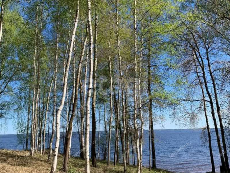 земельный участок 22,1 сотки деревня Колганово