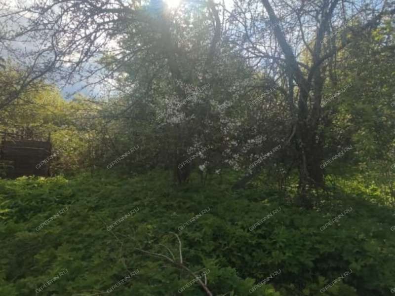 земельный участок 23 сотки село Суроватиха