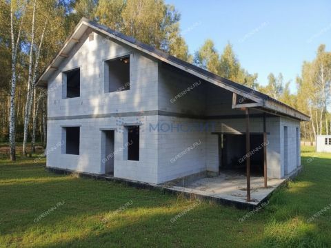 dom-derevnya-berezovka-bogorodskiy-municipalnyy-okrug фото