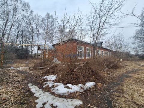 selo-arapovo-bogorodskiy-municipalnyy-okrug фото