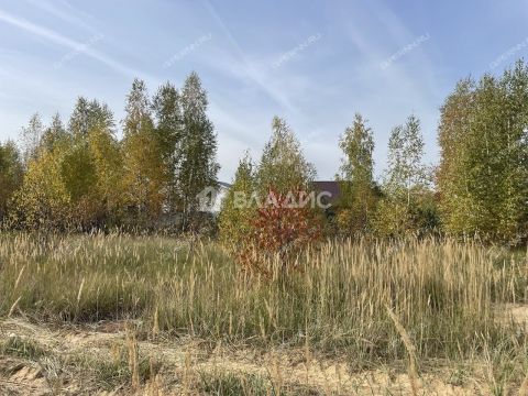 gorod-dzerzhinsk-gorodskoy-okrug-dzerzhinsk фото