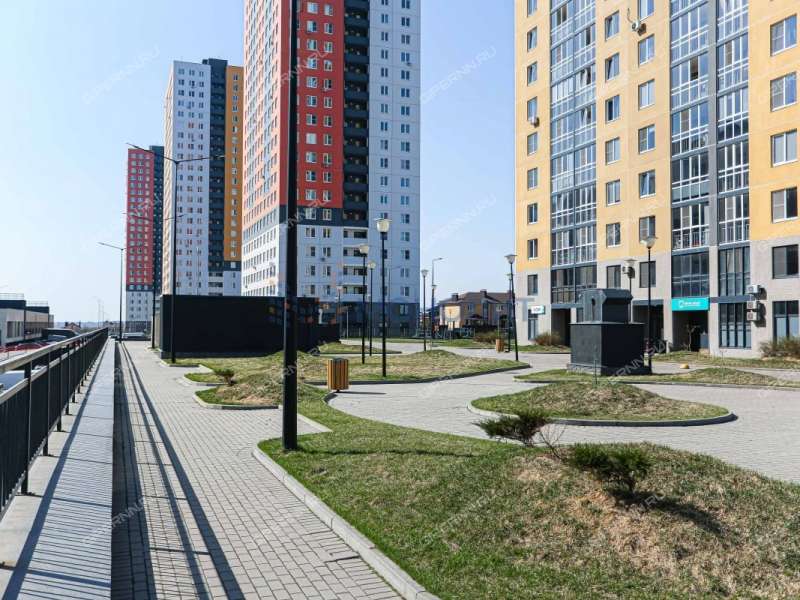 трёхкомнатная квартира на Русской улице улице дом 1 деревня Анкудиновка