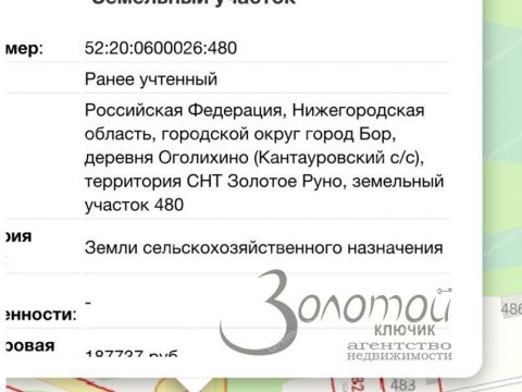 derevnya-ogolihino-gorodskoy-okrug-bor фото