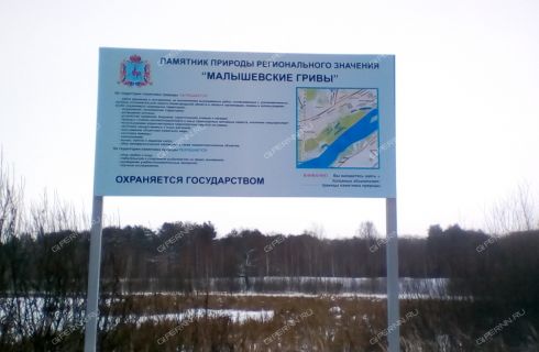Карта малышевского леса