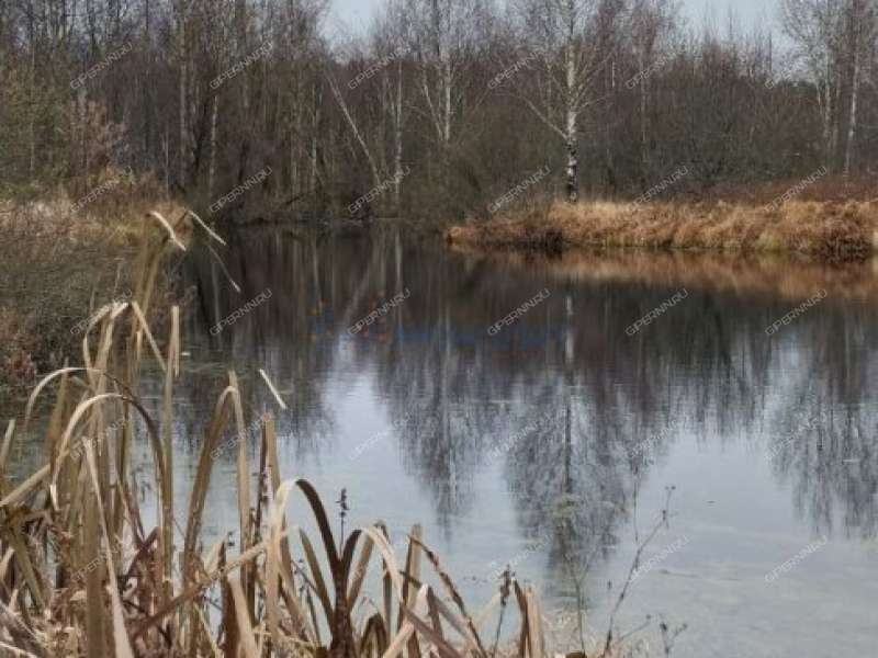 четырёхкомнатная квартира на Лесной улице дом 24 посёлок Ильино