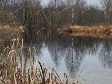 4-komnatnaya-poselok-ilino-volodarskiy-rayon фото