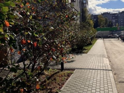 2-komnatnaya-ul-sergeya-esenina-d-35 фото