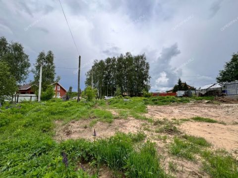 derevnya-zabore-gorodskoy-okrug-bor фото