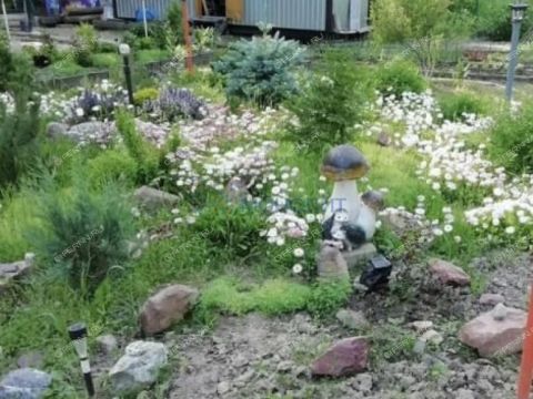 dacha-selo-kamenki-bogorodskiy-municipalnyy-okrug фото