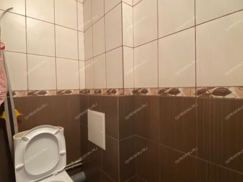 2-komnatnaya-derevnya-afonino-kstovskiy-rayon фото