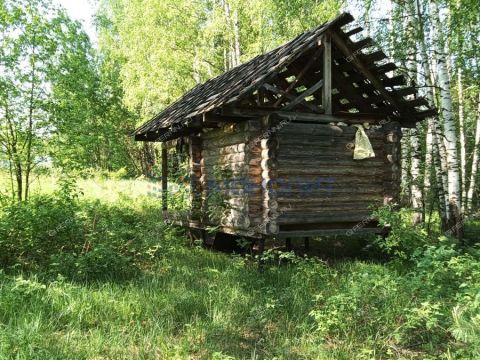 derevnya-ryabinki-gorodskoy-okrug-bor фото