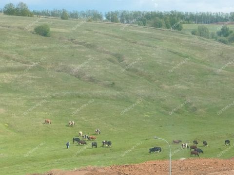 1-komnatnaya-ul-2-ya-dorozhnaya-d-5 фото