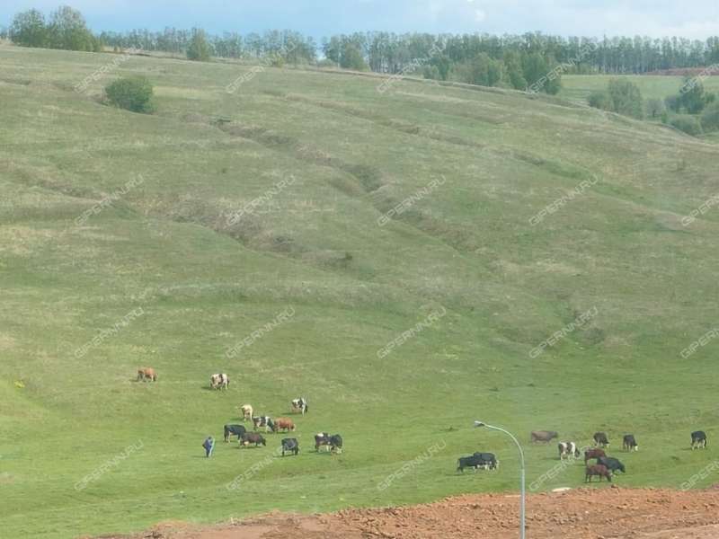 однокомнатная квартира на 2-й Дорожной улице дом 5