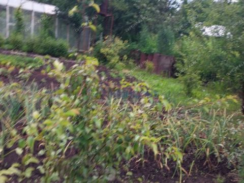 dacha-zarya-3-selo-redkino-redkinskiy-selsovet-ter-snt-gorodskoy-okrug-bor фото