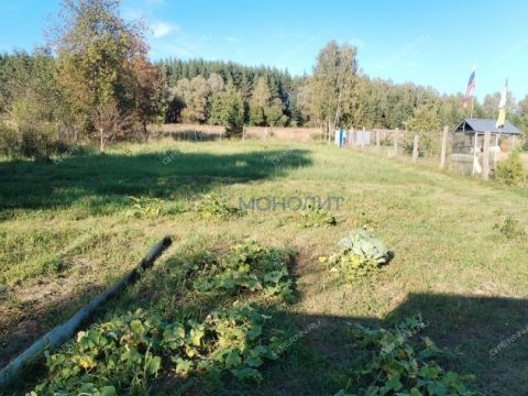 dom-derevnya-sohtanka-bogorodskiy-municipalnyy-okrug фото