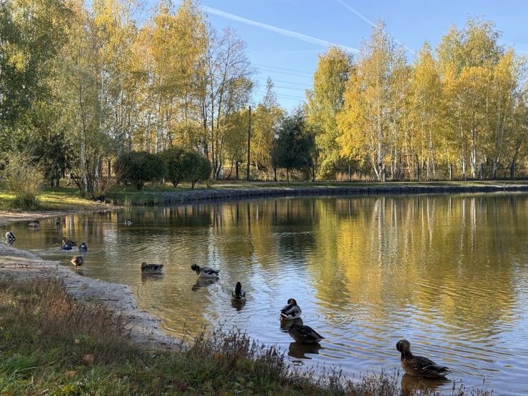 Фото: СЗ «ЖБС-Проект»