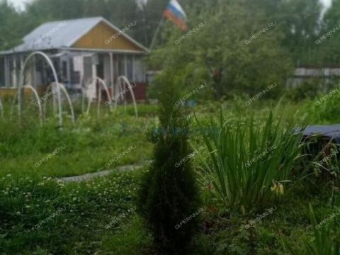 dacha-snt-n5-oao-gaz-snt-n-5 фото