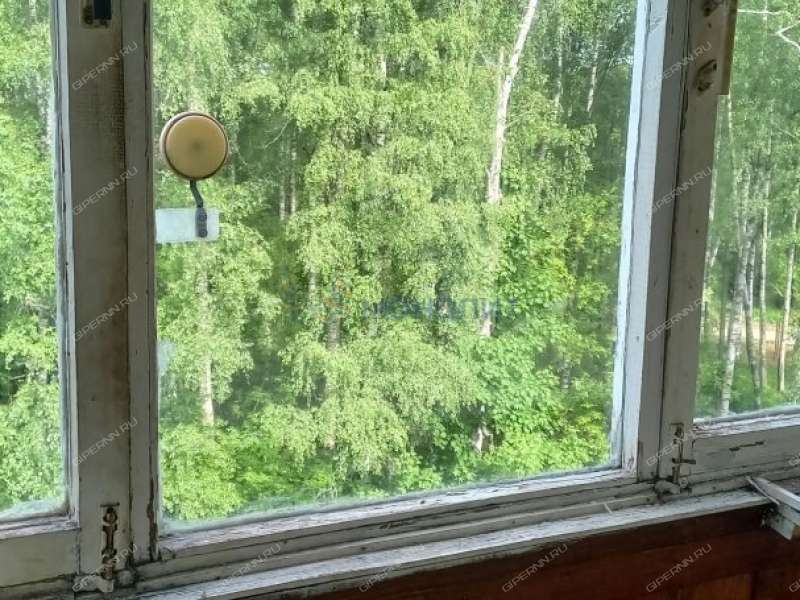 двухкомнатная квартира на - дом 20 посёлок Селекционной станции