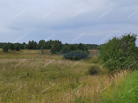 derevnya-ionovka-bogorodskiy-municipalnyy-okrug фото