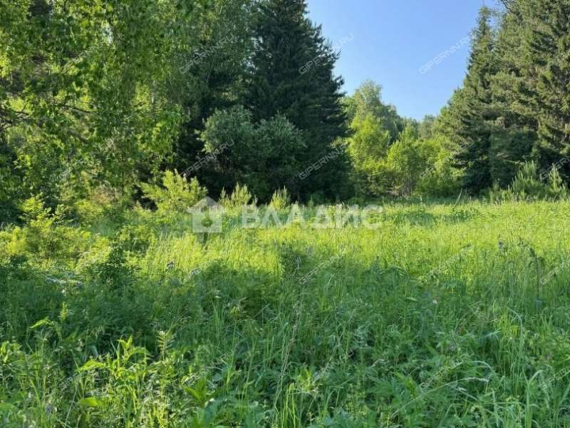 земельный участок 10,85 сотки Осенняя улица деревня Дьяково