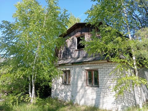 derevnya-blohino-gorodskoy-okrug-bor фото