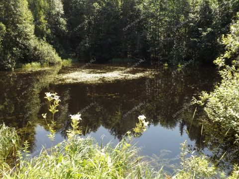 dom-poselok-vatomskiy-gorodskoy-okrug-bor фото