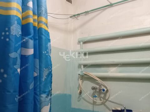 4-komnatnaya-selo-voronino-gorodeckiy-rayon фото