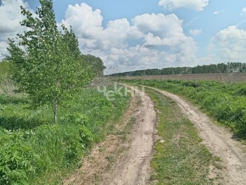 dom-derevnya-kiprevo-gorodeckiy-rayon фото