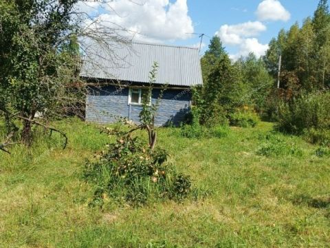 snt-berezka-1-bogorodskiy-municipalnyy-okrug фото