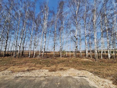 derevnya-ushakovo-bogorodskiy-municipalnyy-okrug фото