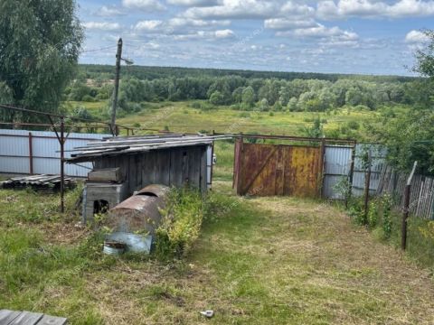 dom-rabochiy-poselok-doschatoe-gorodskoy-okrug-vyksa фото