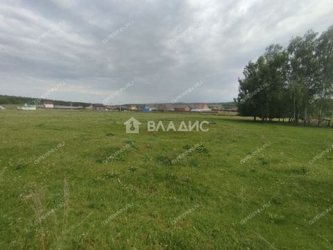 derevnya-inyutino-bogorodskiy-municipalnyy-okrug фото