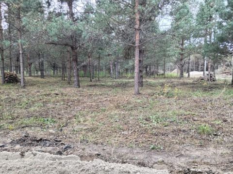 derevnya-ivanovskoe-gorodskoy-okrug-bor фото