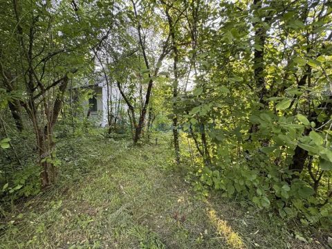 dacha фото