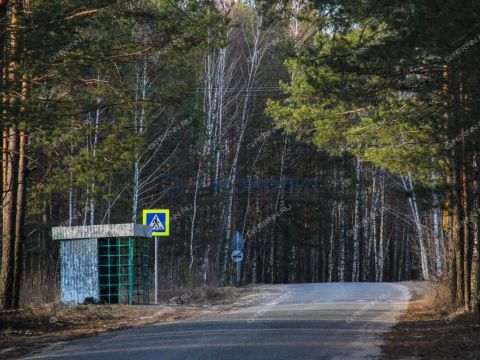 dom-poselok-kerzhenec-gorodskoy-okrug-bor фото