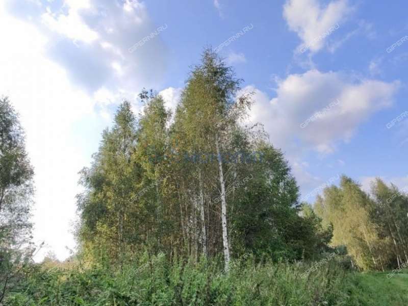 земельный участок 15,7 сотки Центральная улица