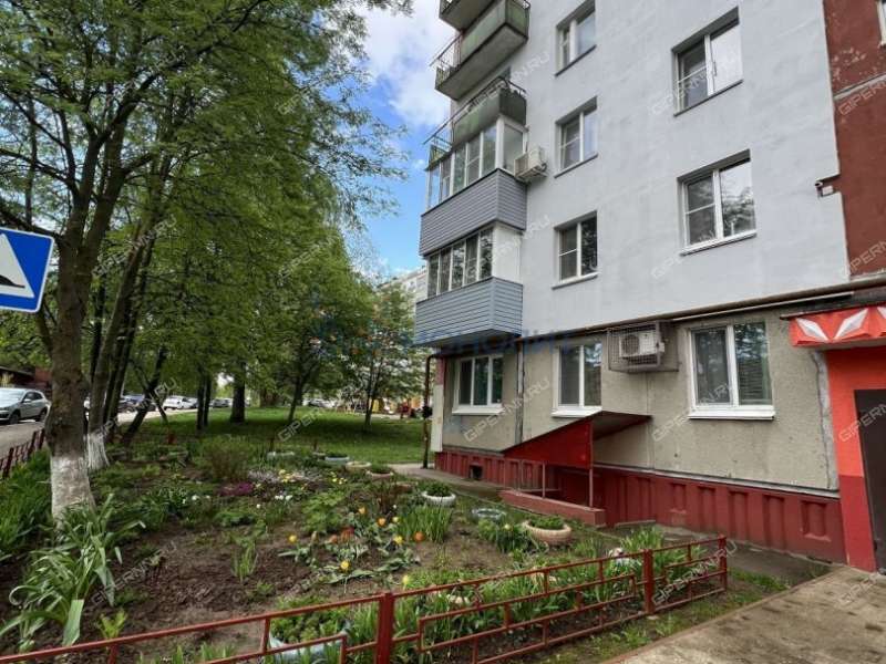 двухкомнатная квартира на улице Германа Лопатина дом 13
