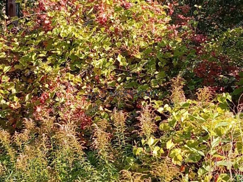 дача на д/о Зеленый город поселок