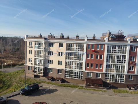 1-komnatnaya-shestoy-mkr-kstovskiy-rayon фото