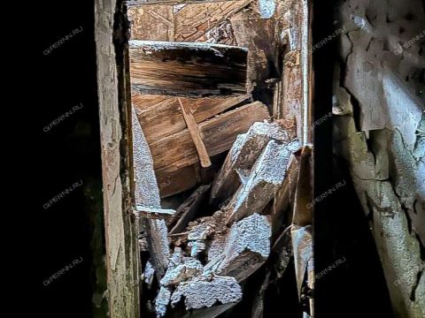 ul-minina-d-21 фото