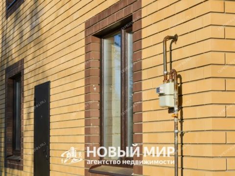 kottedzh-derevnya-tushnino-gorodskoy-okrug-bor фото