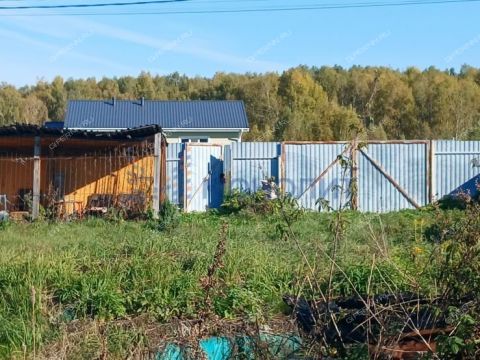 derevnya-gremyachki-bogorodskiy-municipalnyy-okrug фото